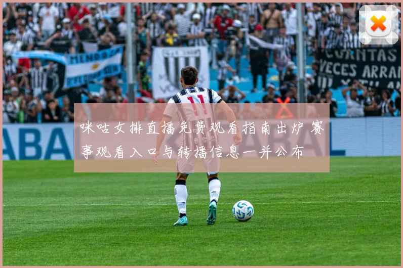 咪咕女排直播免费观看指南出炉 赛事观看入口与转播信息一并公布