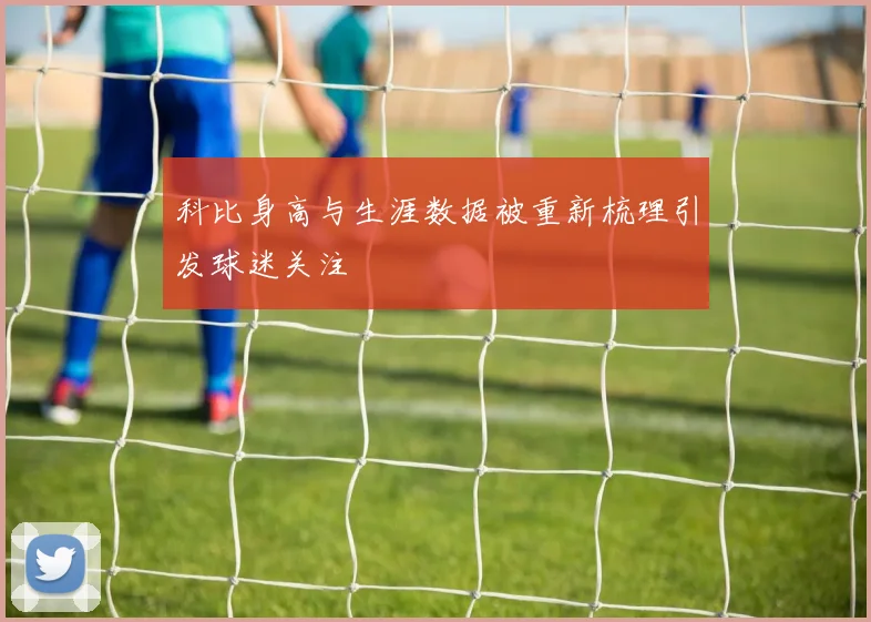 科比身高与生涯数据被重新梳理引发球迷关注